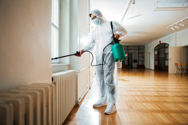 Best Pest Prevention Services  in Ironde, AL